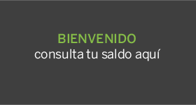 Consulta Saldo Online