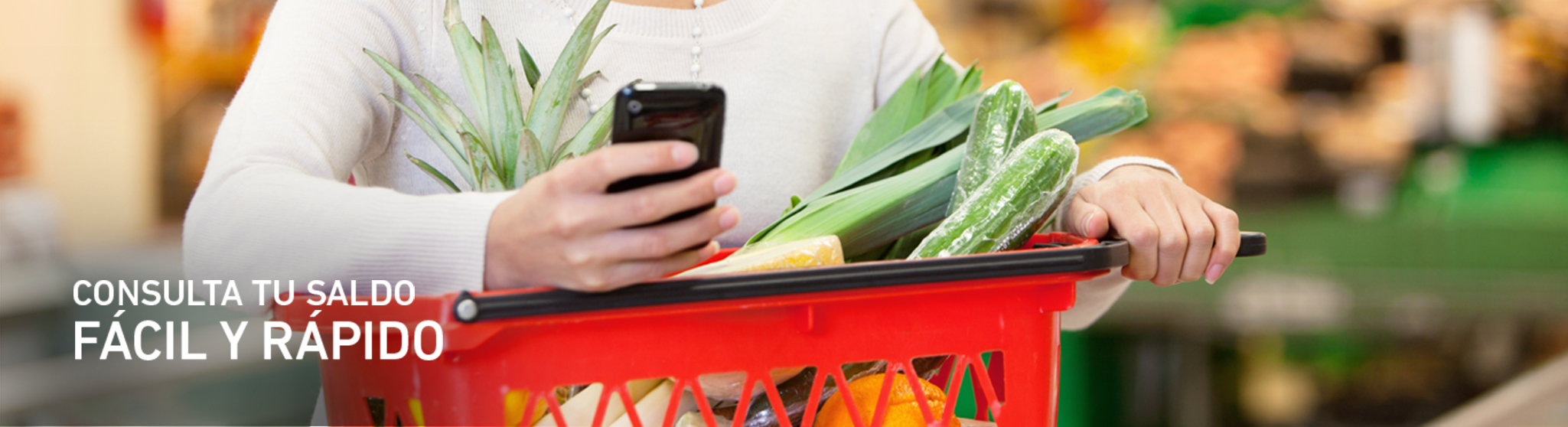 Consulta Saldo Online