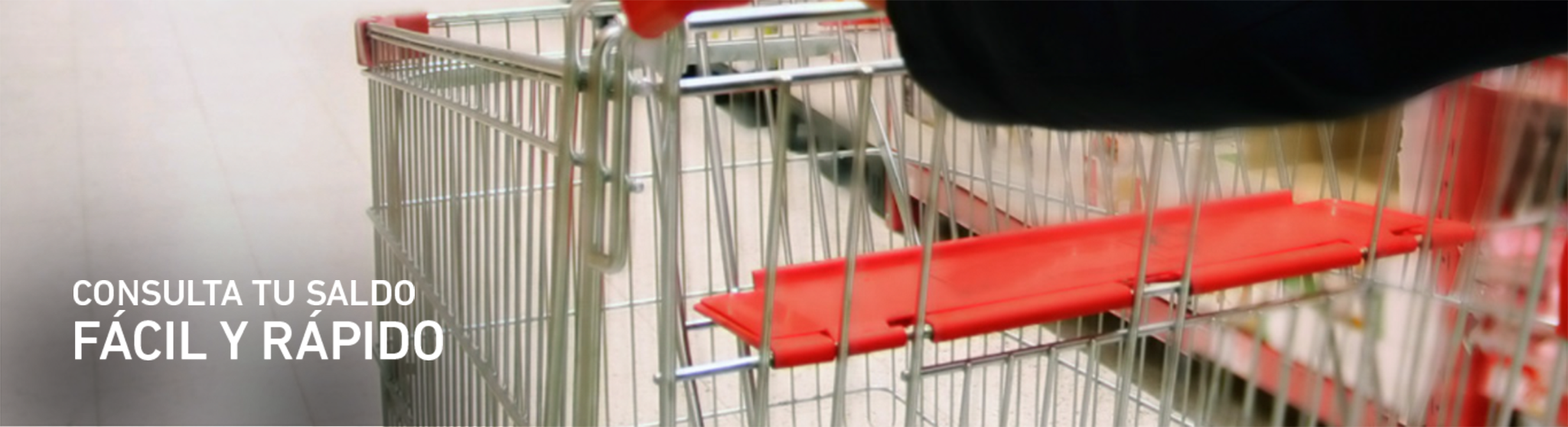 Efectivale Saldo Comida